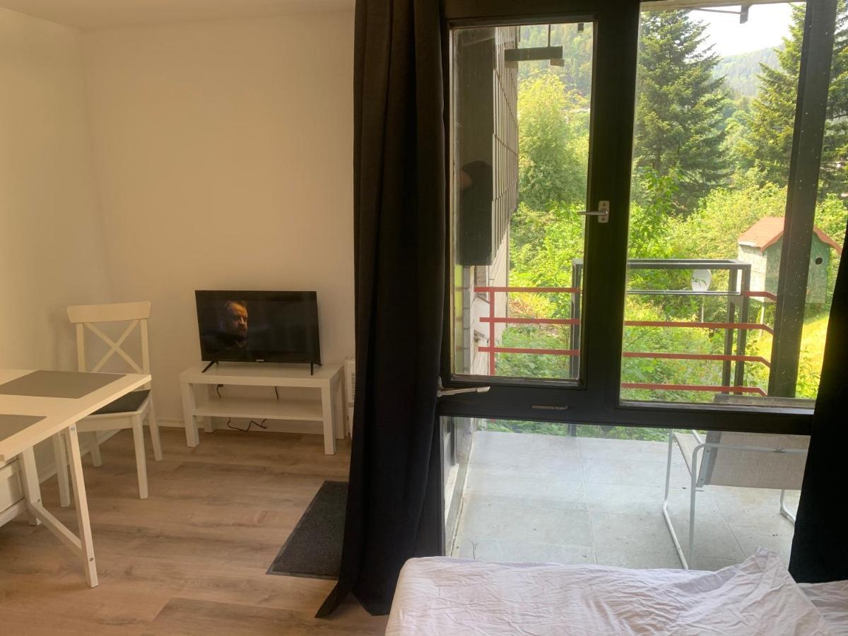 Kleines Einzimmer-Apartment 14 Bad Wildbad Exterior photo